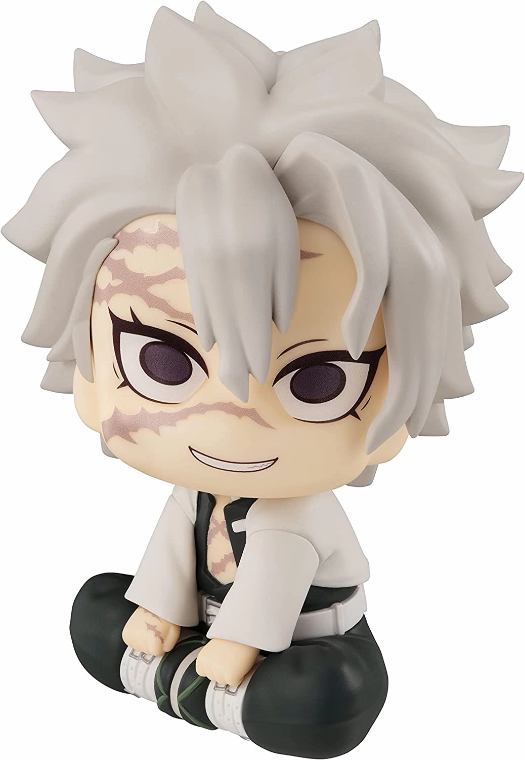 Daily Decor "Demon Slayer: Kimetsu no Yaiba" Look Up Series Shinazugawa Sanemi