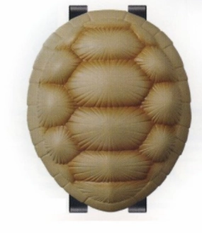 "Dragon Ball" Kame Sennin Turtle Shell for Figure (White) Collection Item Mid Century