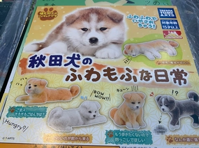 Retail Package Akita Inu Daily Life Furry Texture Figure Keychain 5 Pieces Set (In-stock)