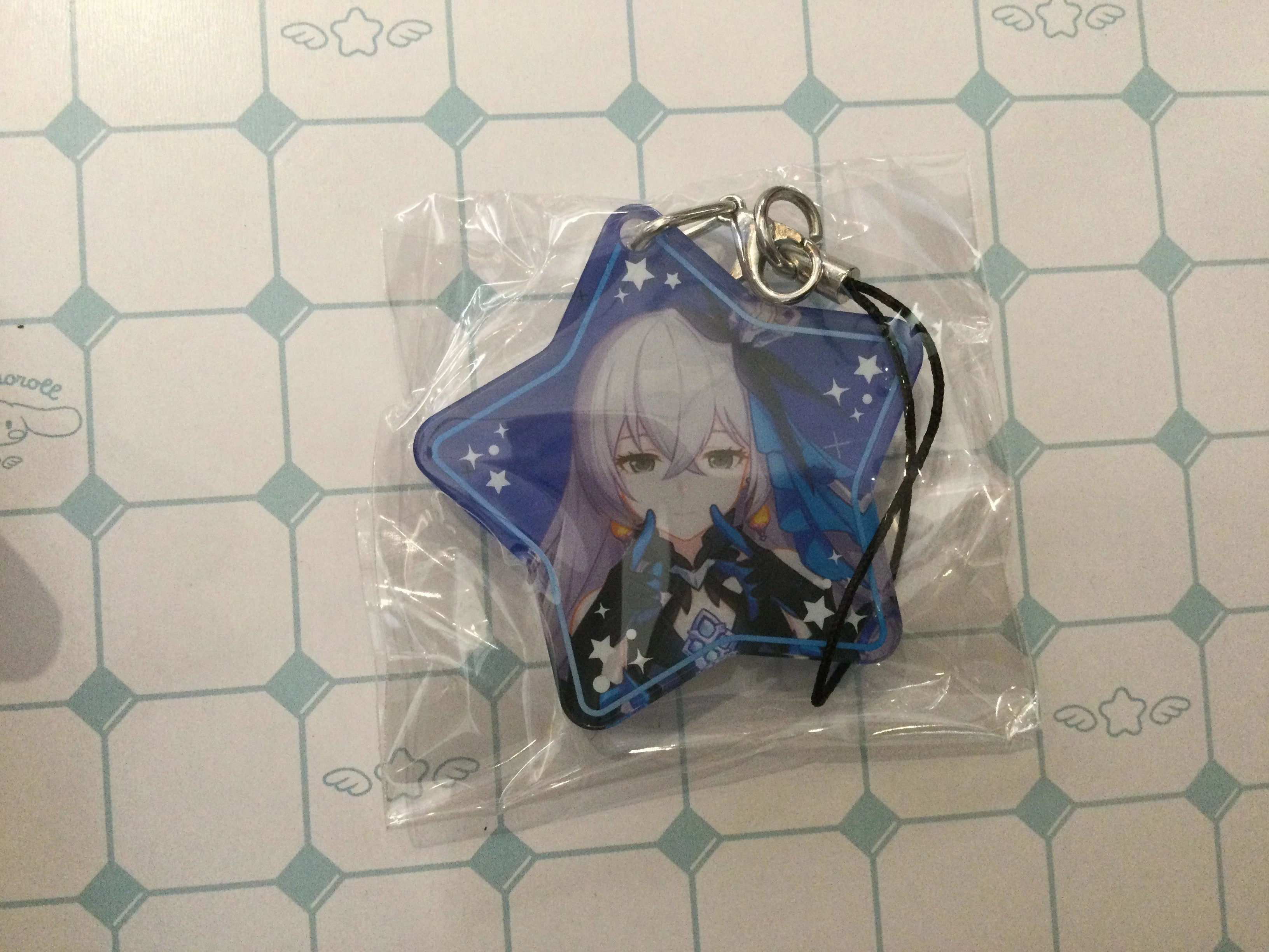 Honkai Impact 3rd Characters Thick Acrylic Keychain 11 Pieces Set (In-stock) Flying Pose Online Forum