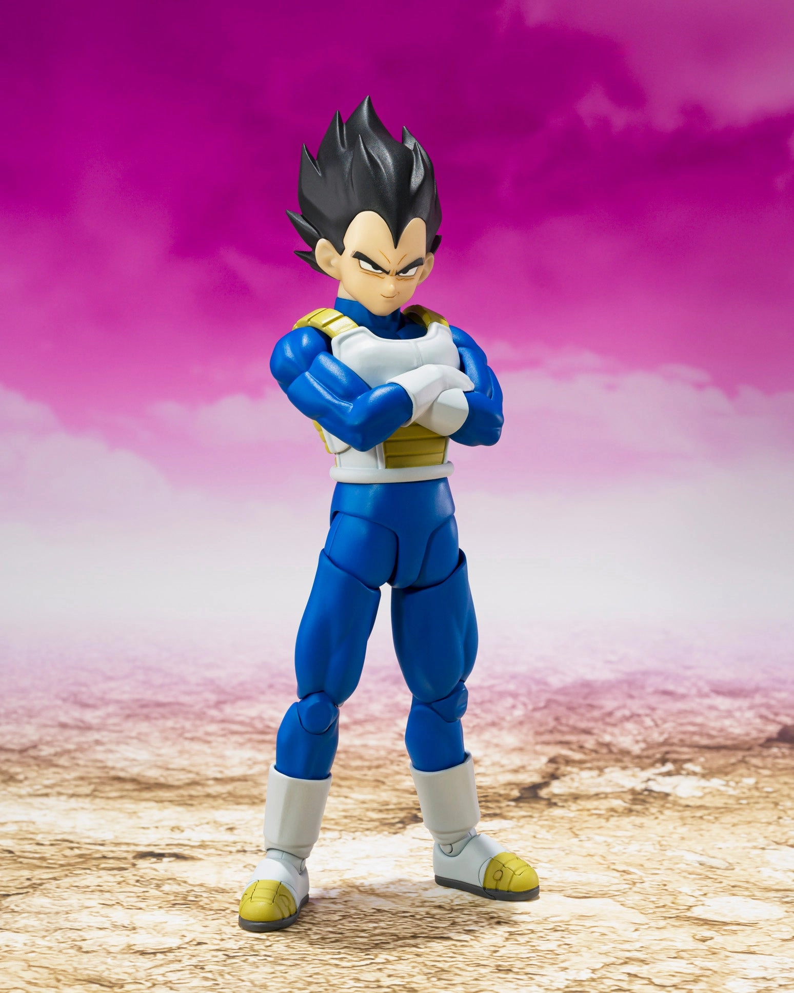 S.H. Figuarts Dragon Ball Daima Vegeta Action Figure Disney Character