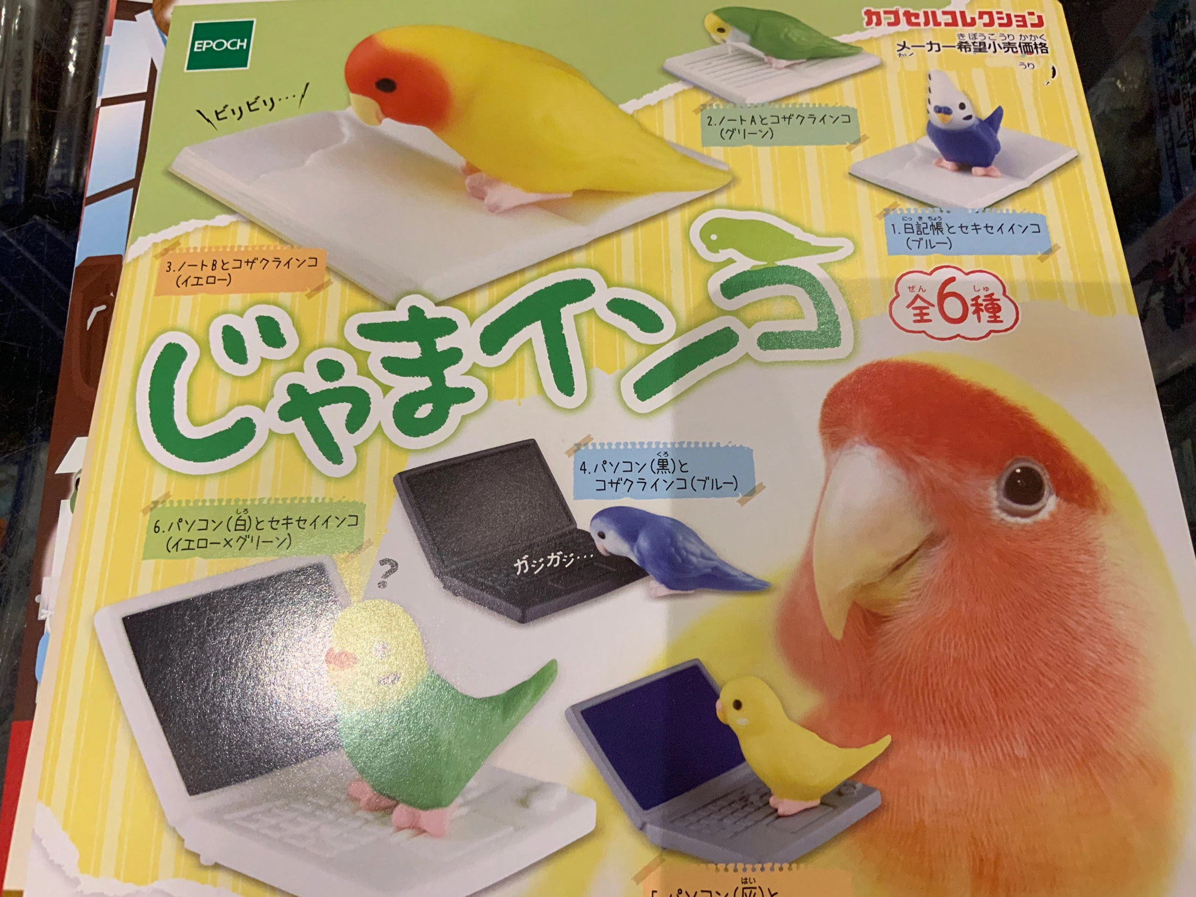 Street Art Bird with Books and Technology Figure 6 Pieces Set (In-stock)