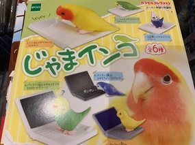 Street Art Bird with Books and Technology Figure 6 Pieces Set (In-stock)