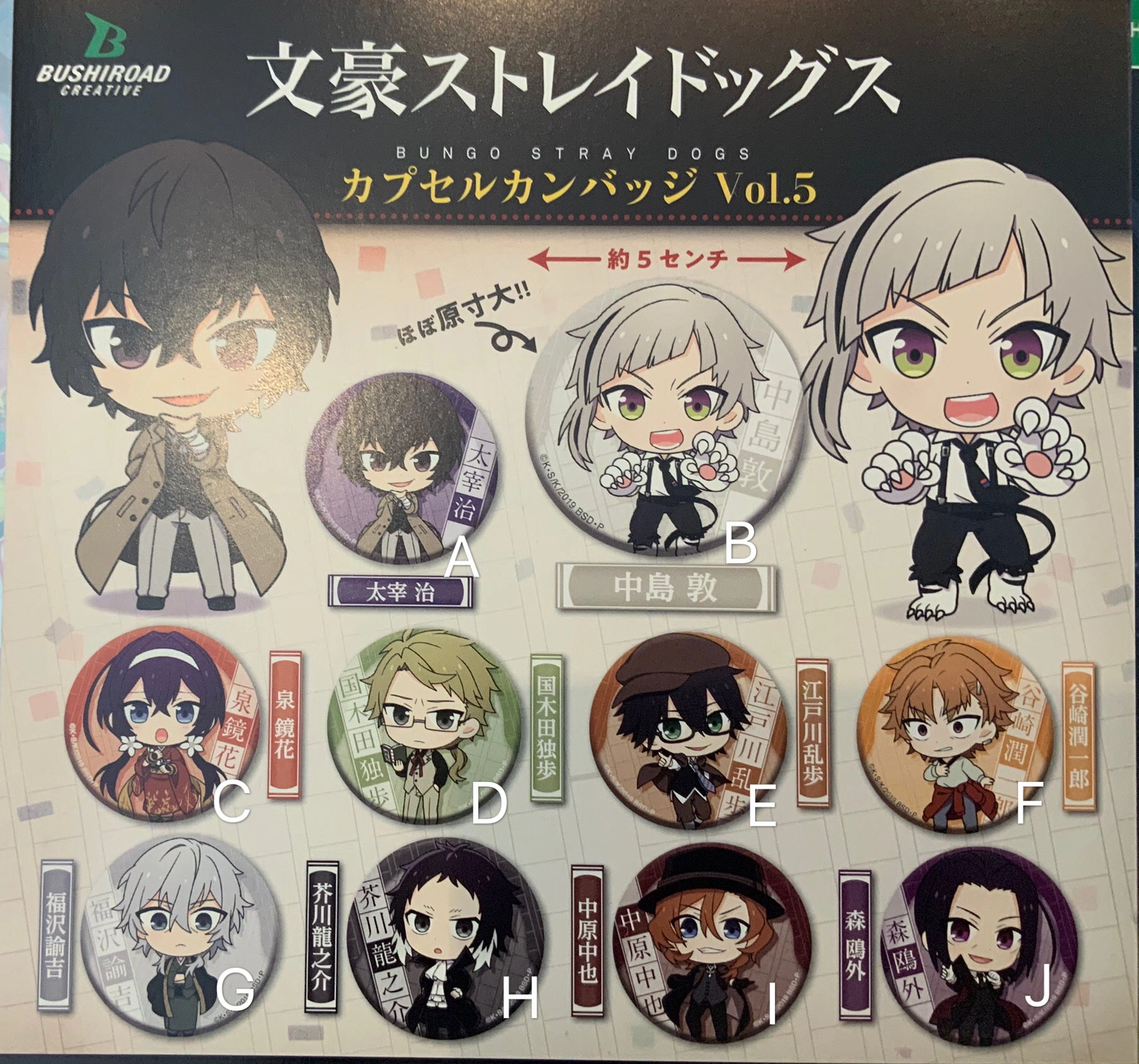 Biology Model Chibi Hobby Bungo Stray Dogs Character Badge Vol.5 10 Pieces Set (In-stock)