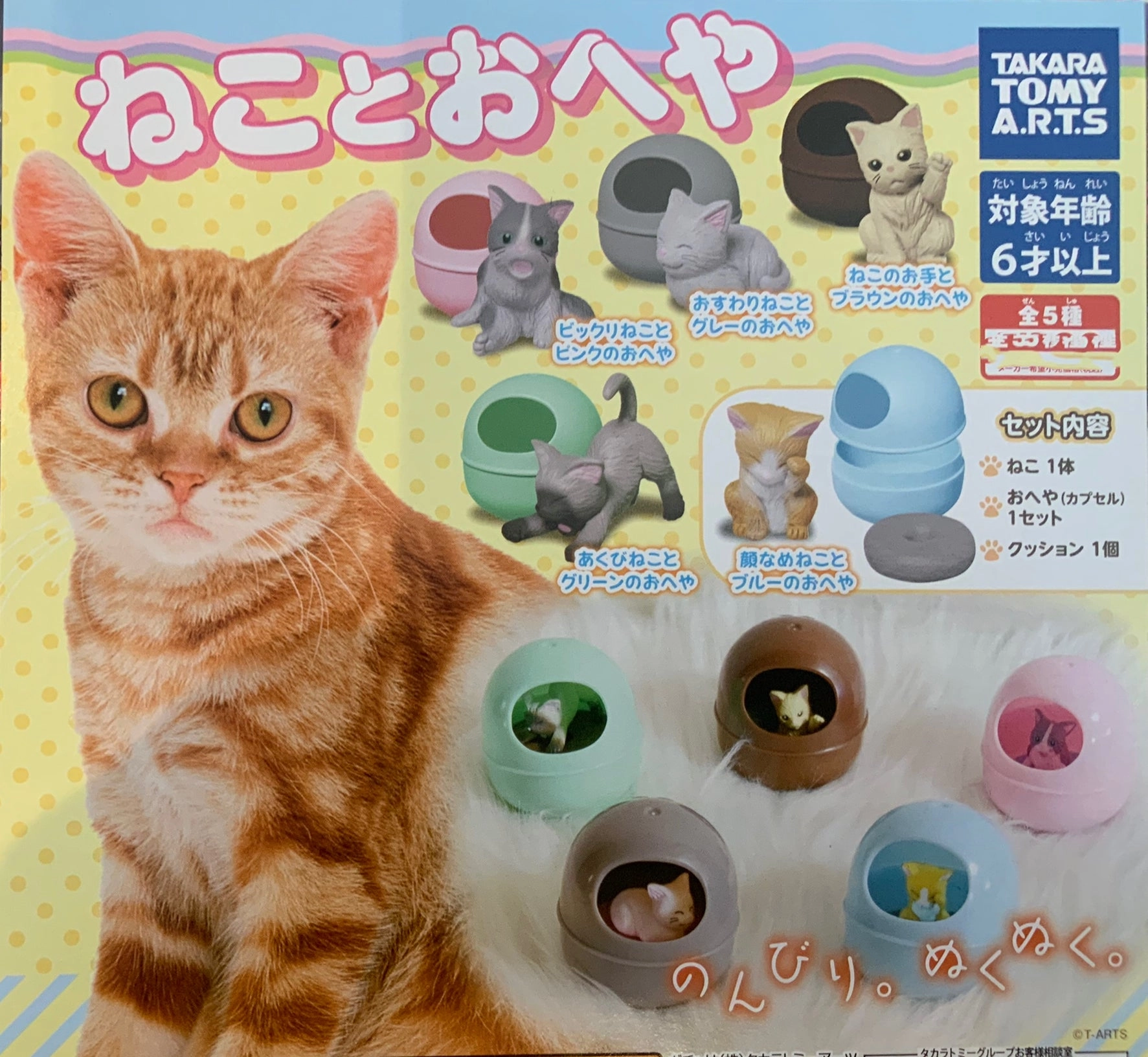 Cat and Resting Case Mini Figure 5 Pieces Set (In-stock) Tourist Memorabilia Action Model