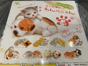 Dog and Cat Ceramic Figure 8 Pieces Set (In-stock) Vinyl Merchandise