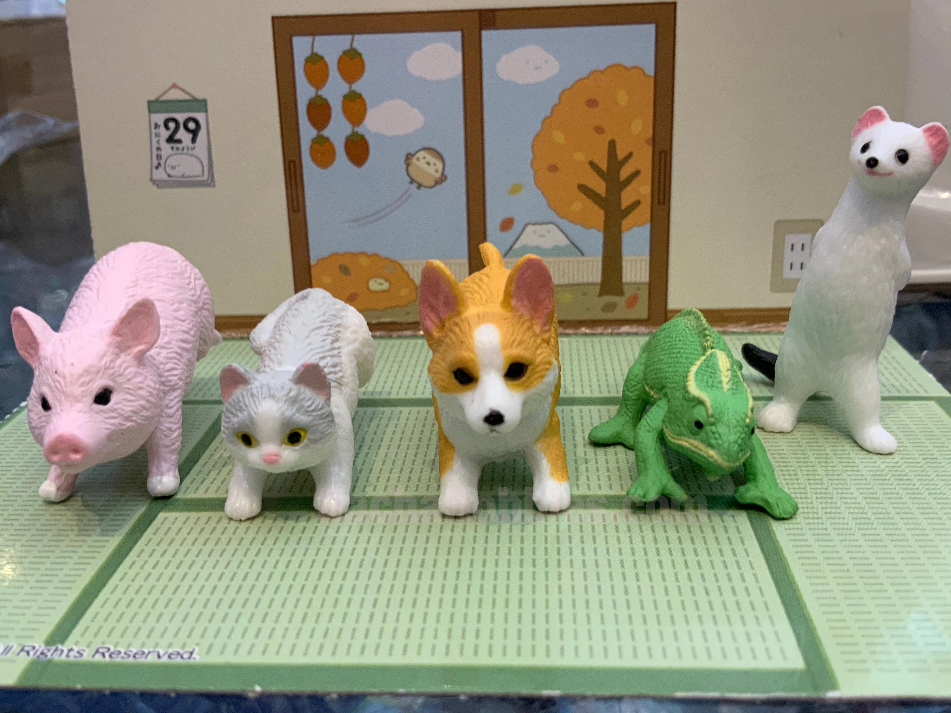 Animal On Duty Wiping Floor Figure Vol.2 5 Pieces Set (In-stock) World Heritage