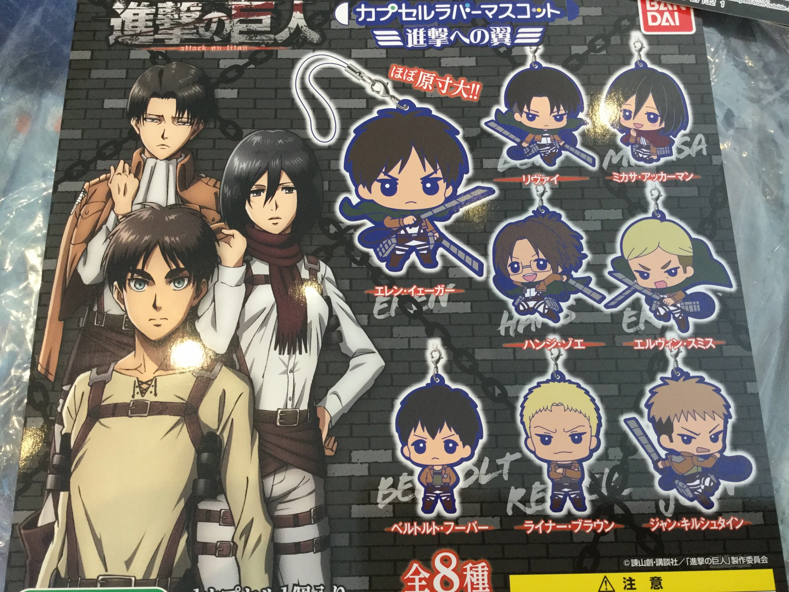 Anime Item Premium item Attack on Titan Flat Rubber Keychain 8 Pieces Set (In-stock)