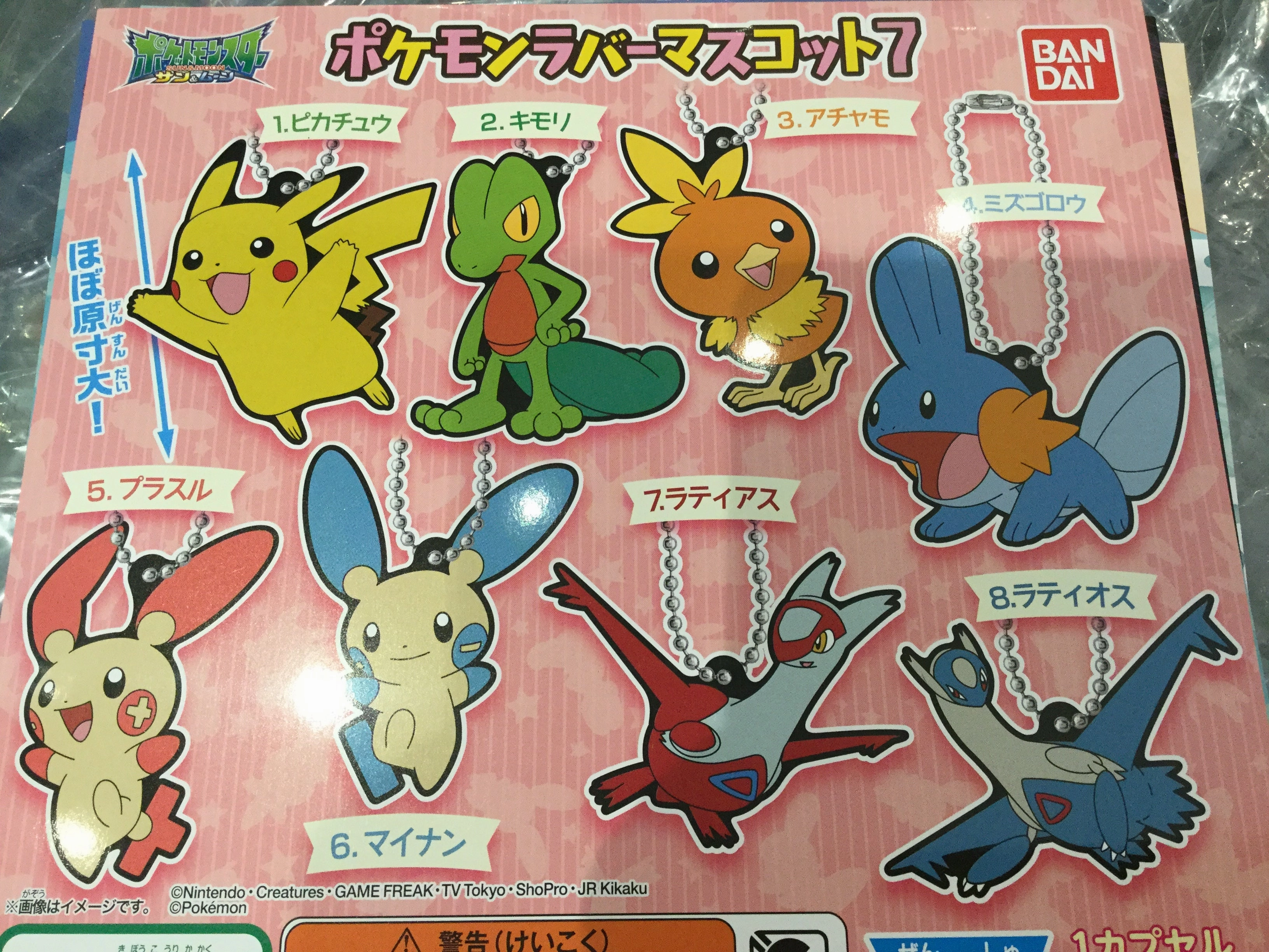 Learning Tool Gashapon Pokemon 3rd Gen Rubber Keychain Set (In Stock)