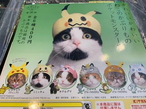Kitan Club Pokemon Cat Hat 6 Pieces Set (In-stock) Blue Ribbon