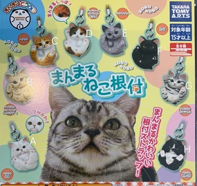 Manmaru Animals Cat Figure Collection 8 Pieces Set (In-stock) PVC Item