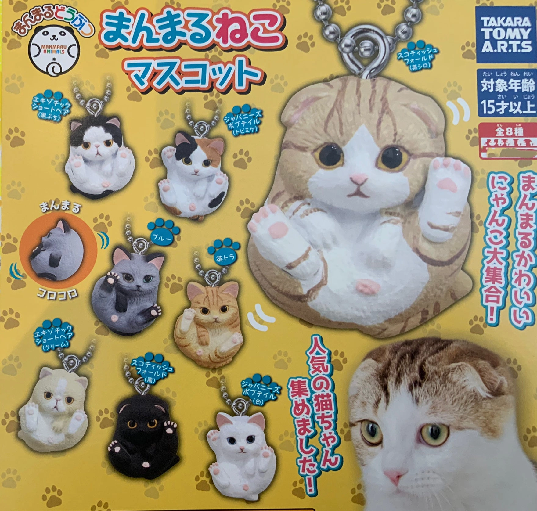 Manmaru Animal Cat Figure Keychain 8 Pieces Set (In-stock) Brand Collaboration