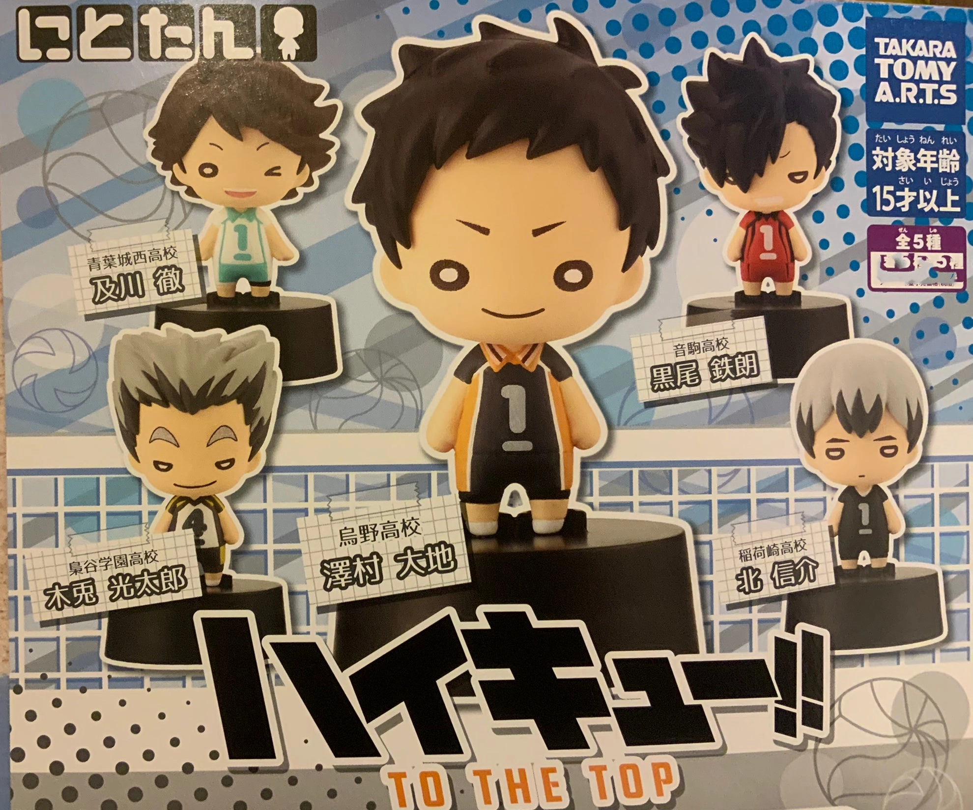 Haikyuu To the Top Character Figure Vol.2 5 Pieces Set (In-stock) National Symbol