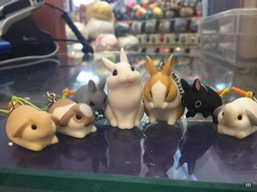 Rabbit Strap Set DIY Model