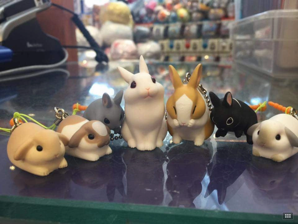 Rabbit Strap Set DIY Model