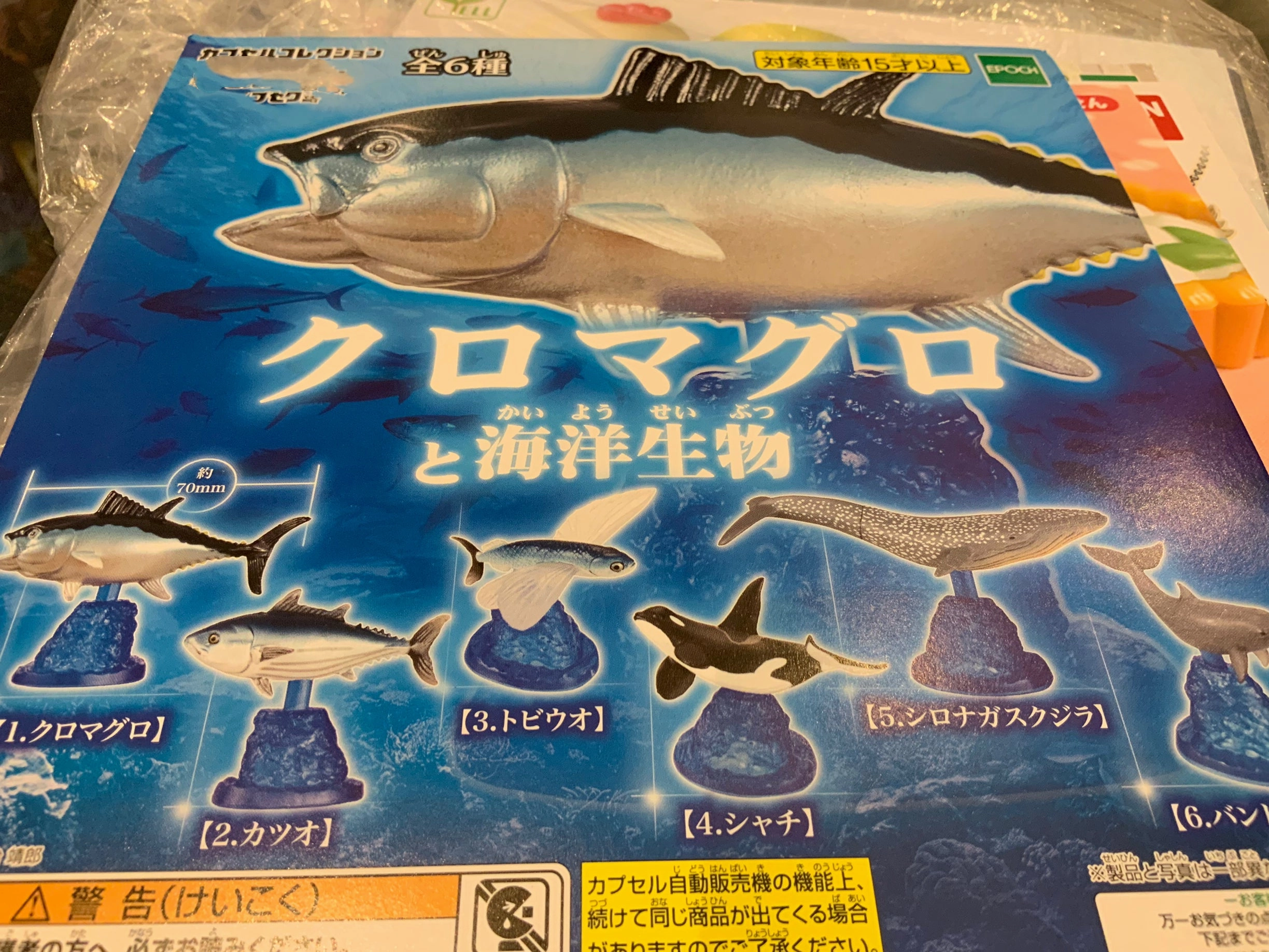 Marine Life Fish Collection Figure 6 Pieces Set (In-stock) Historic Replica