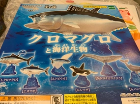 Marine Life Fish Collection Figure 6 Pieces Set (In-stock) Historic Replica