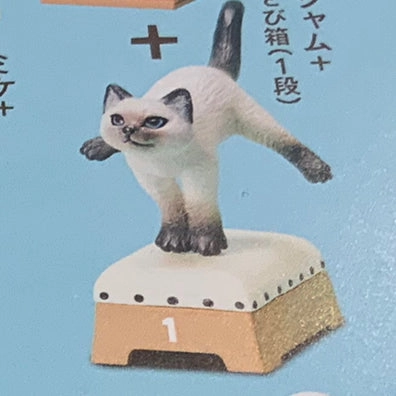Paper Model Cat with Vault Collection Figure 6 Pieces Set (In Stock)