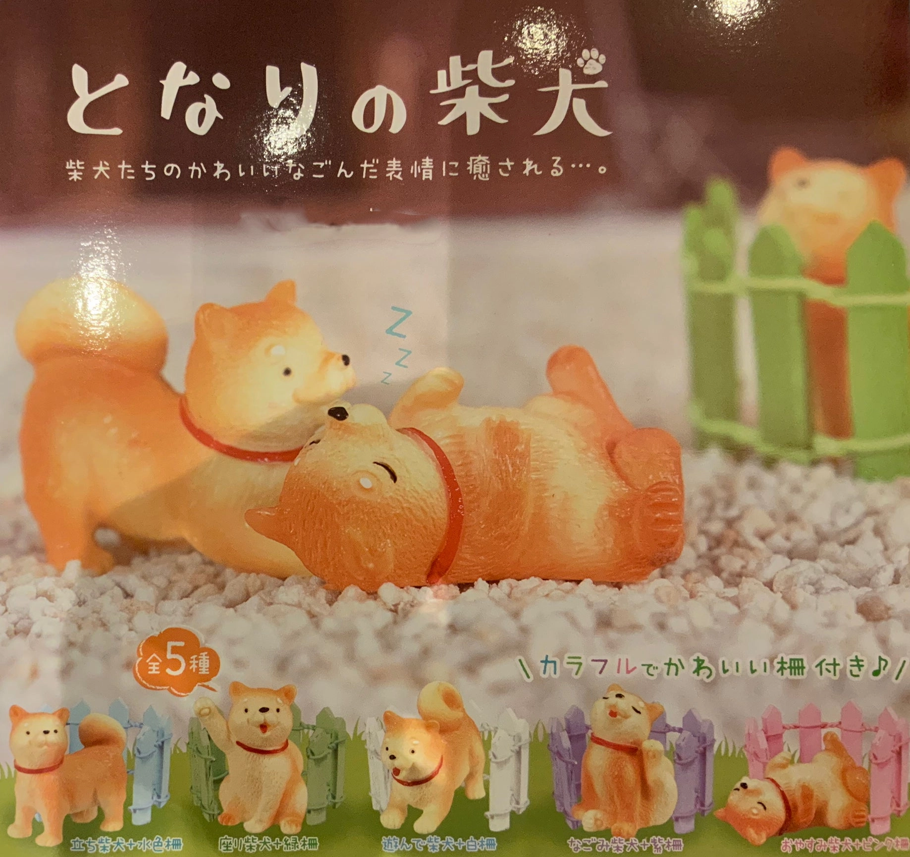 Posable Model My neighbor Shiba Inu Figure 5 Pieces Set (In-stock)