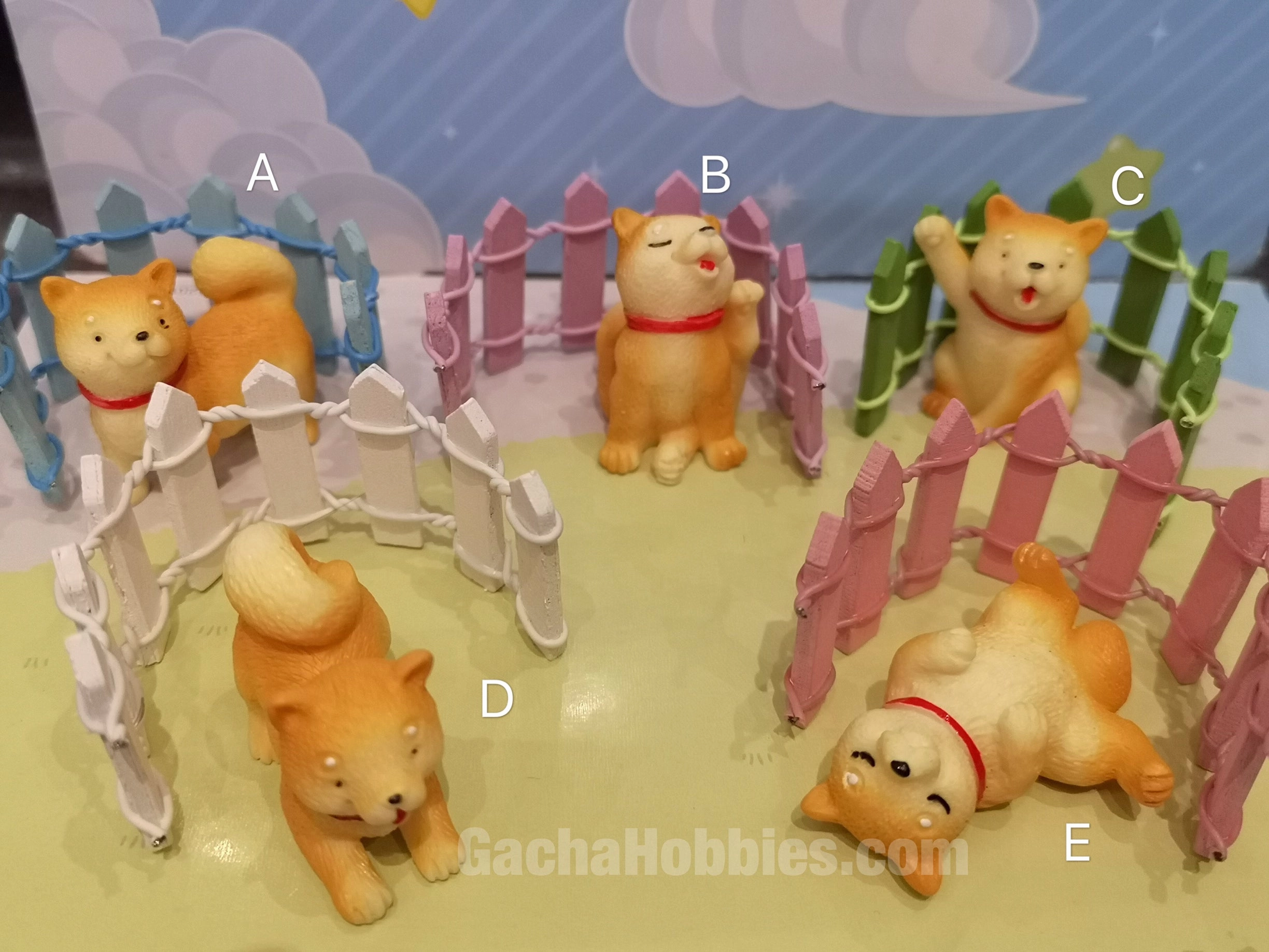 My neighbor Shiba Inu Figure 5 Pieces Set (In-stock) Anime Article