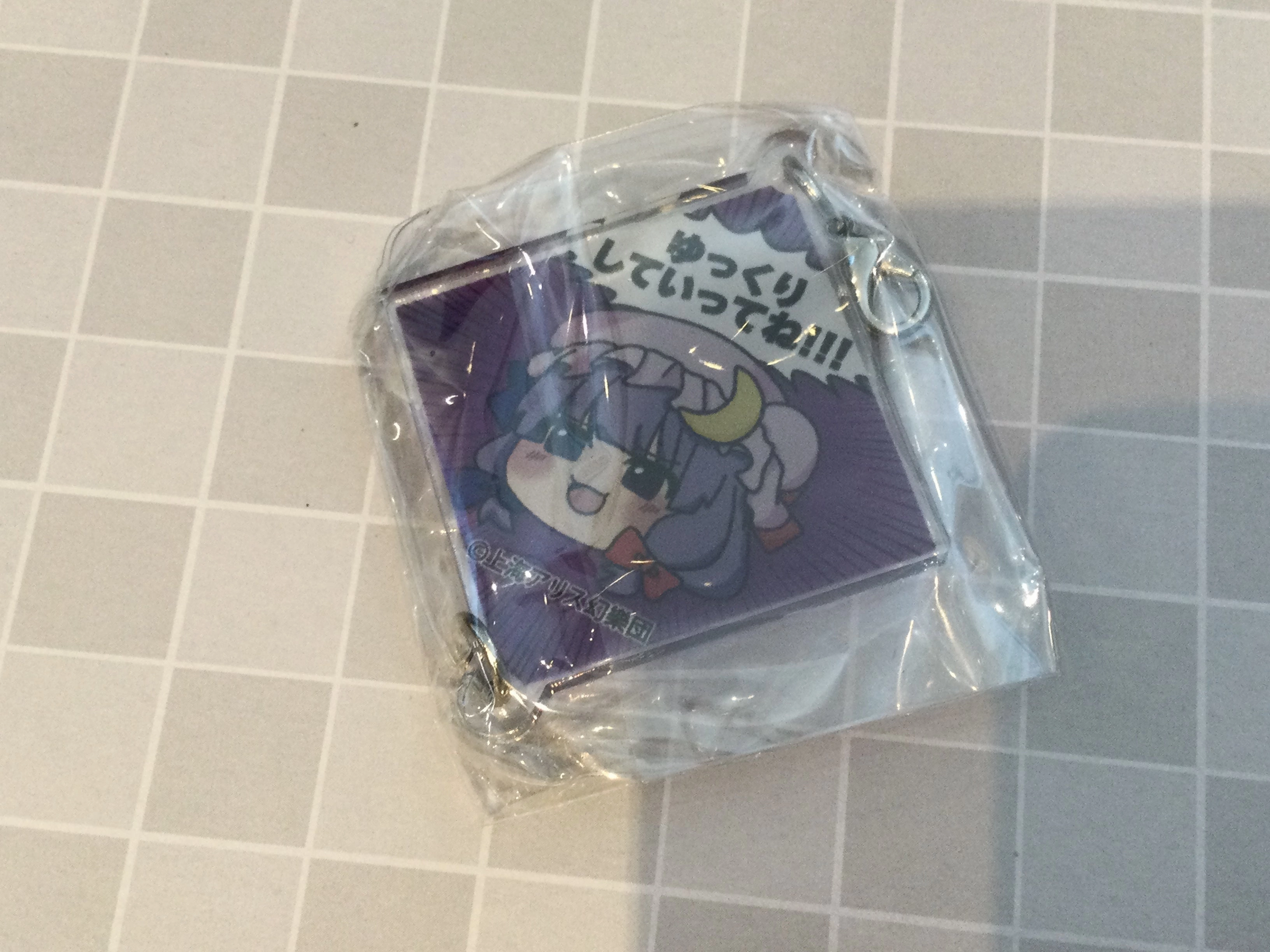 NIC Touhou Project Characters Yukkuri Acrylic Keychain 10 Pieces Set (In-stock) Legacy Item