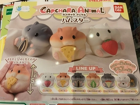Paleontology Model Collectible Model Capchara Animal Hamster Figure 6 Pieces Set (In-stock)