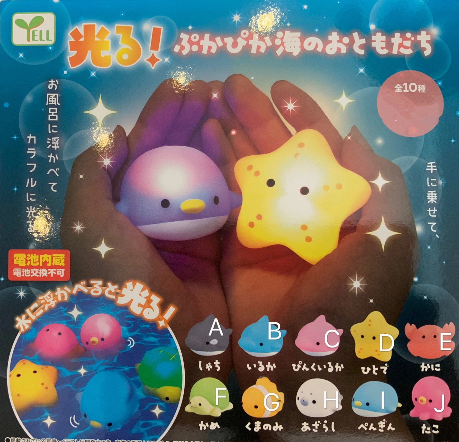 Museum Standard Ocean Animals LED Light Up Figure 10 Pieces Set (In-stock)