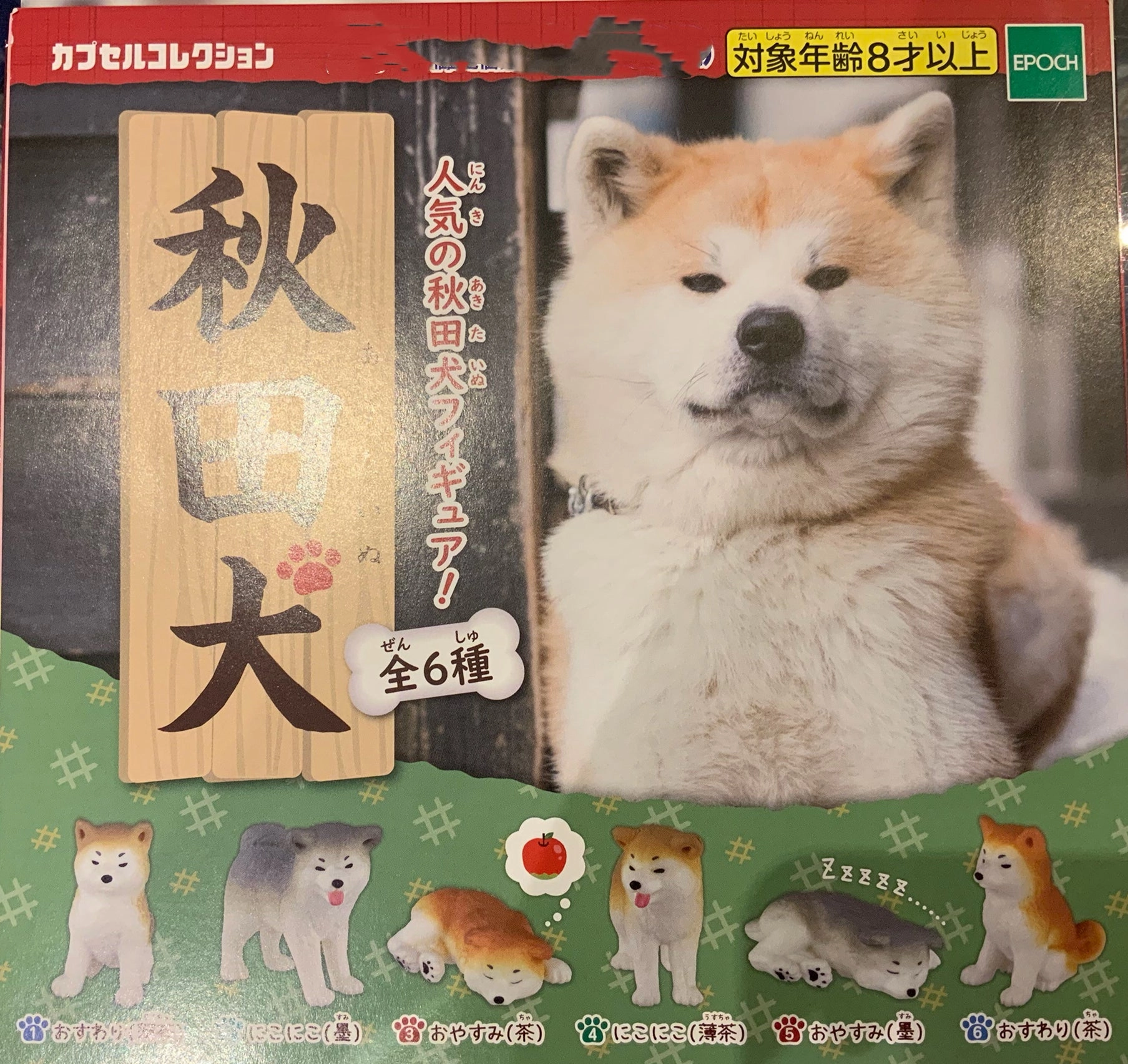 Popular Akita Inu Life Figure 6 Pieces Set (In-stock) Gaming Model