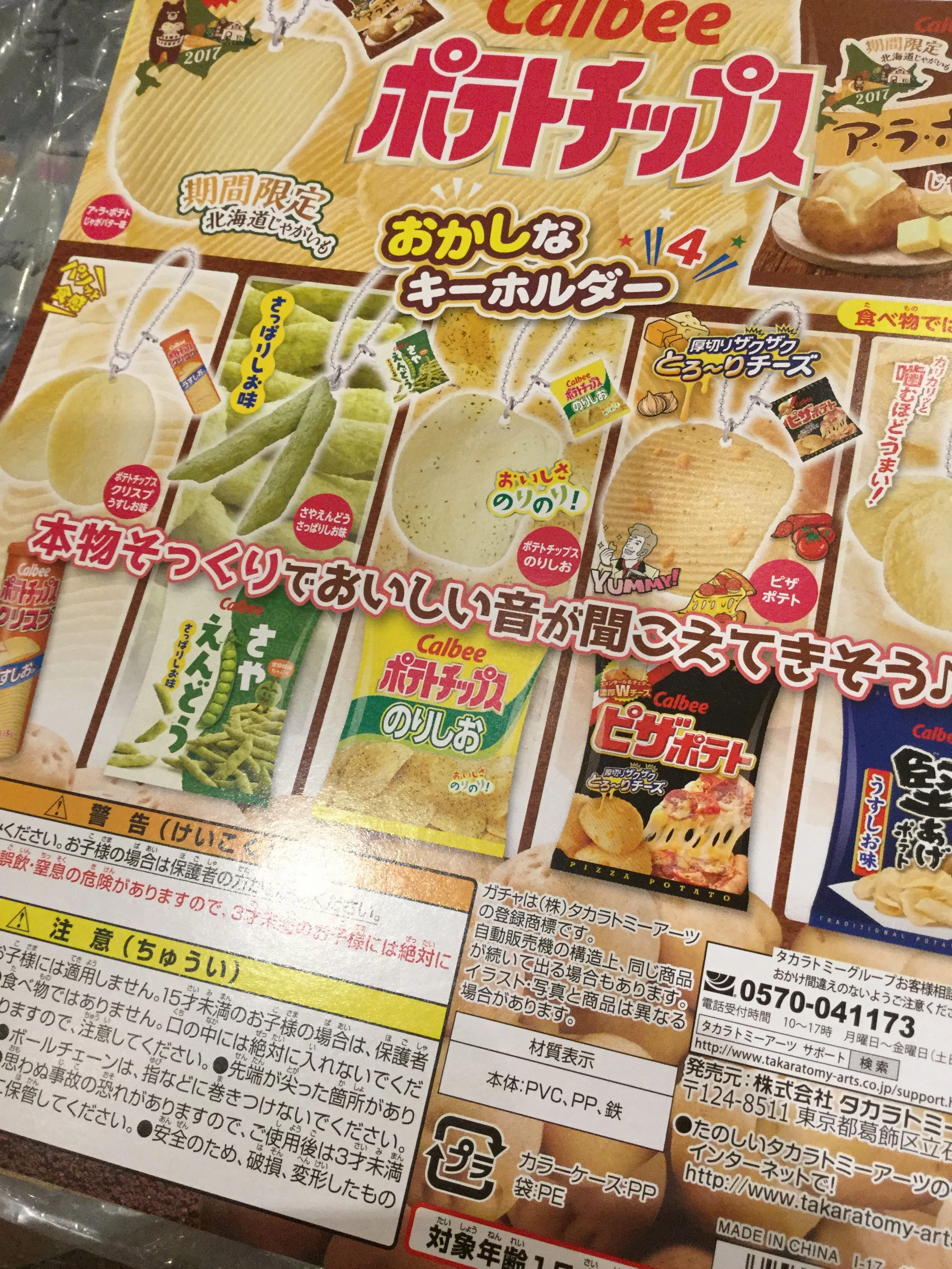 Potato Chips Keychain Gashapon Set (In stock) Cultural Gift