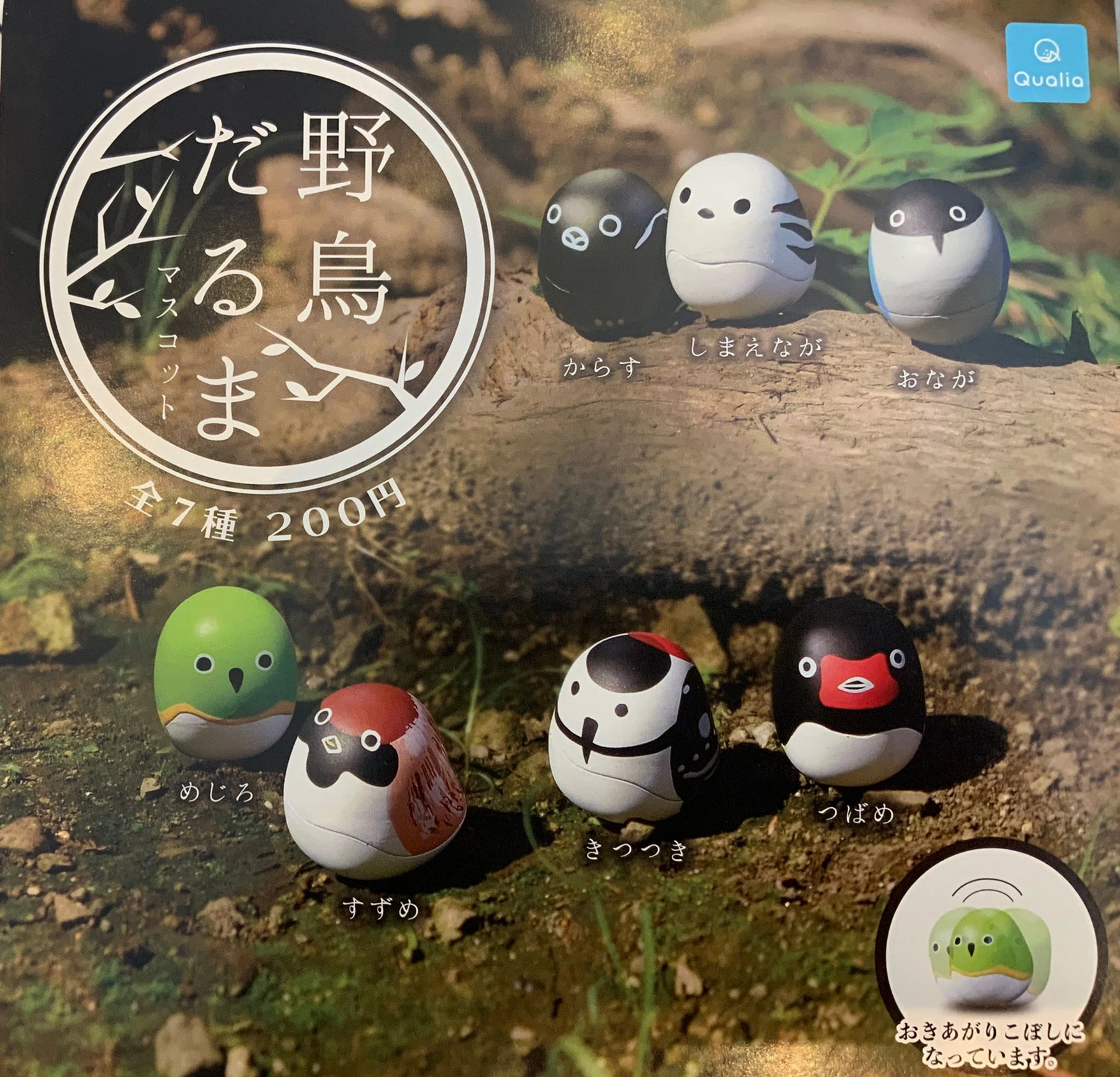 Wild Bird Roly-Poly Toy 7 Pieces Set (In-stock) Glow In Dark